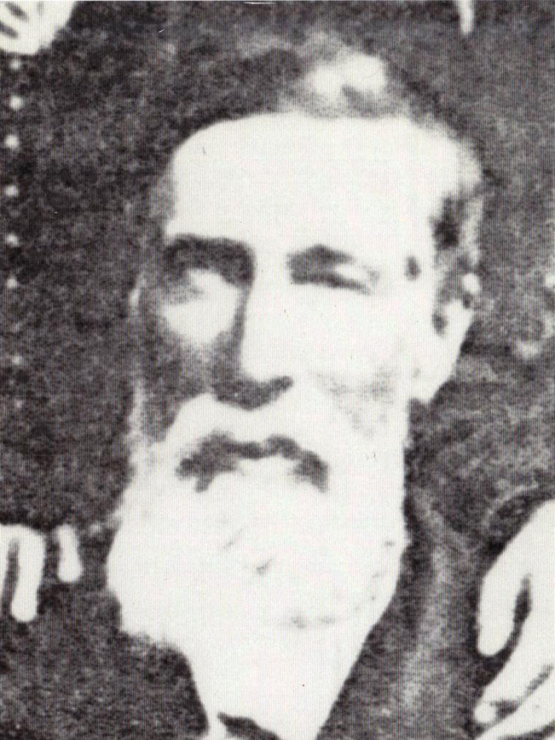 James Jackson Lamb (1835 - 1896) Profile